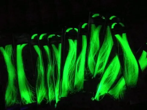 bulu mutiara gid - Gambar 3