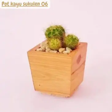 Pot kayu sukulen 06