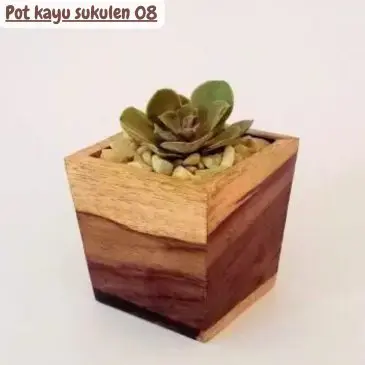 Pot kayu sukulen 07