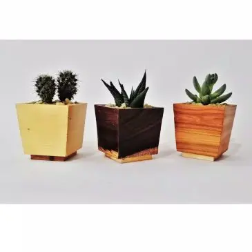Pot kayu sukulen 05 - Gambar 3