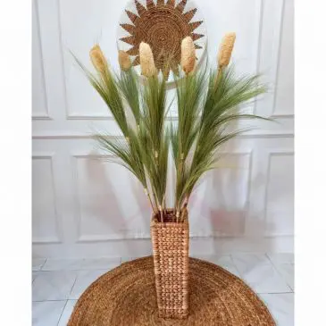 bunga pampas natural