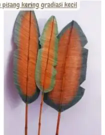 Daun pisang Natural kecil