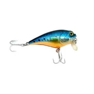 Starlit hard shl 204-5.5cm 110 blue sardin