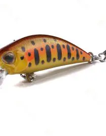 Gotila depago gold orange