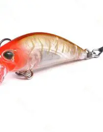 Gotila depago orange