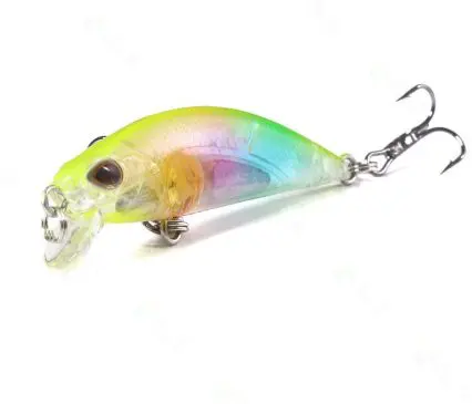 Gotila depago rainbow