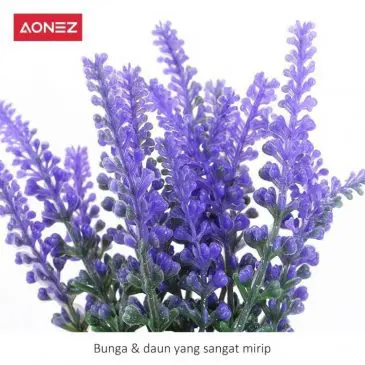 Bunga Aonez ungu lavender - Gambar 2