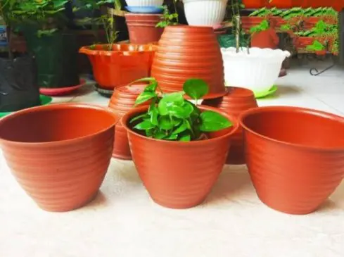 Pot tawon plastik orange