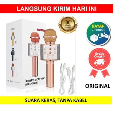 Mic Microphone Speaker