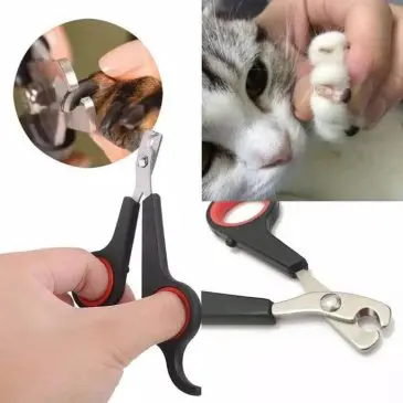 Gunting kuku pet