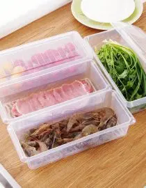 Tempat Penyimpanan Makanan Untuk Kulkas Dengan Partisi Pengering Air Model Persegi Panjang Size 25x12x6cm