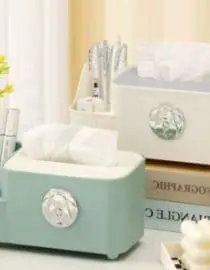 Kotak tisu/penyimpanan serbaguna remote multisekat