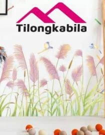 Stiker dinding pink red cute birds