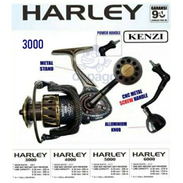 KENZI HARLEY 3000