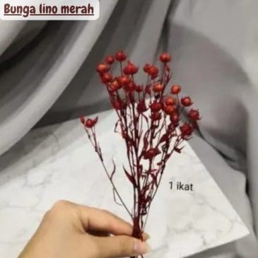Bunga lino merah