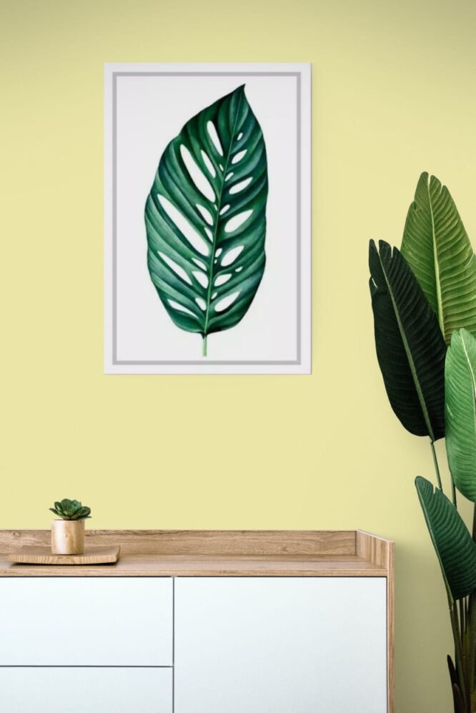 MONSTERA PLANTS 01 2