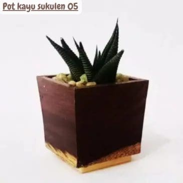 Pot kayu sukulen 05