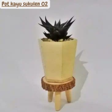 Pot kayu sukulen 02
