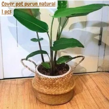 Cover pot purun natural