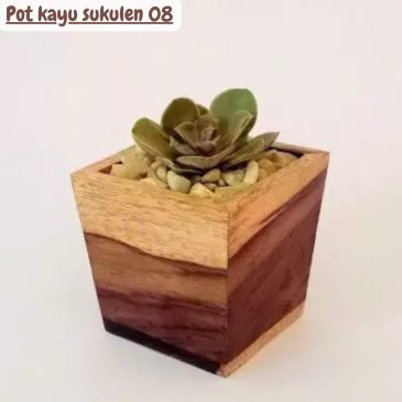 Pot kayu sukulen 07