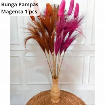 bunga pampas magenta