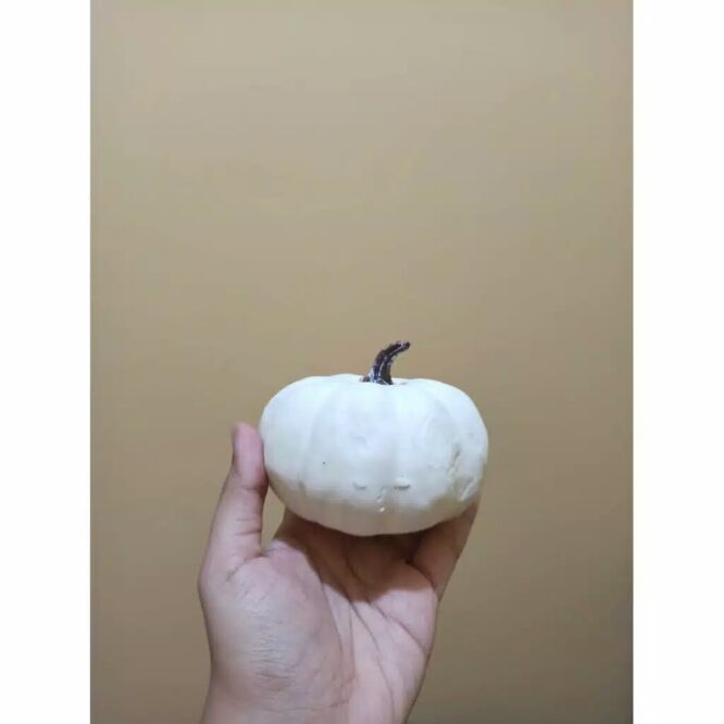 Labu artificial pumpkin putih besar 1