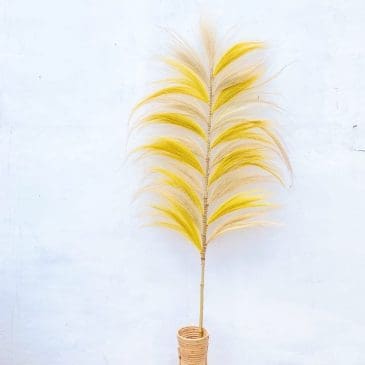 Bunga kering blacing mix kuning