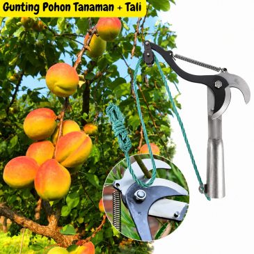 Gunting pohon dan tanaman + tali